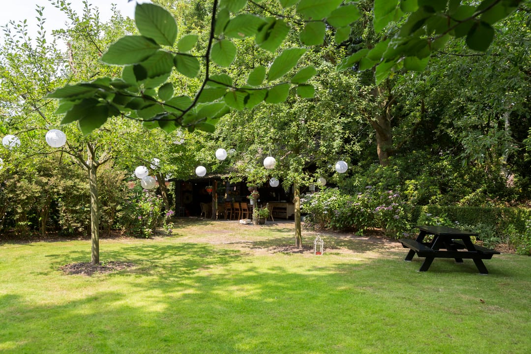 Photo 41 of Plantagebaan 221