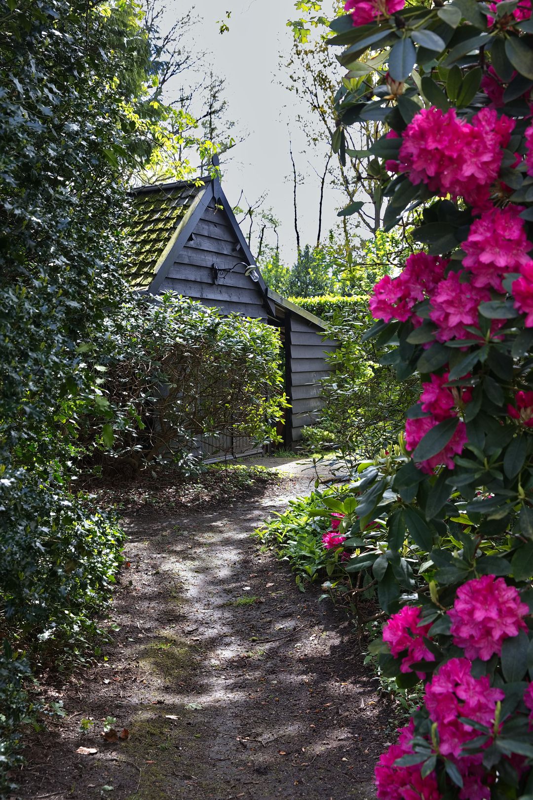 Photo 56 of Plantagebaan 221