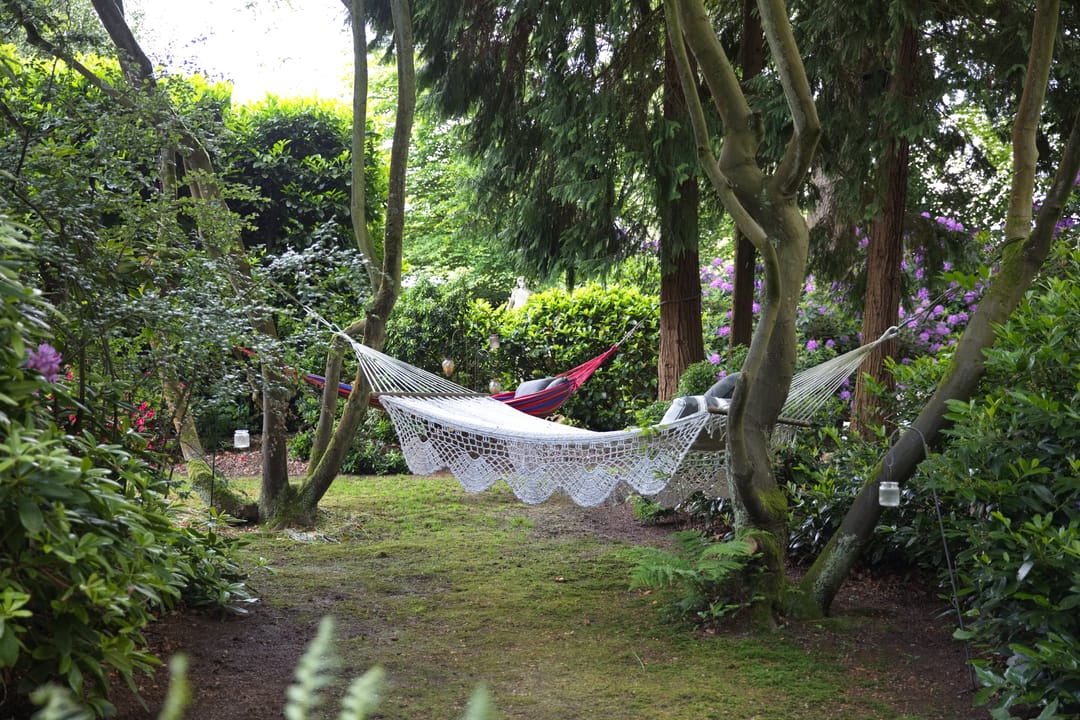 Photo 58 of Plantagebaan 221