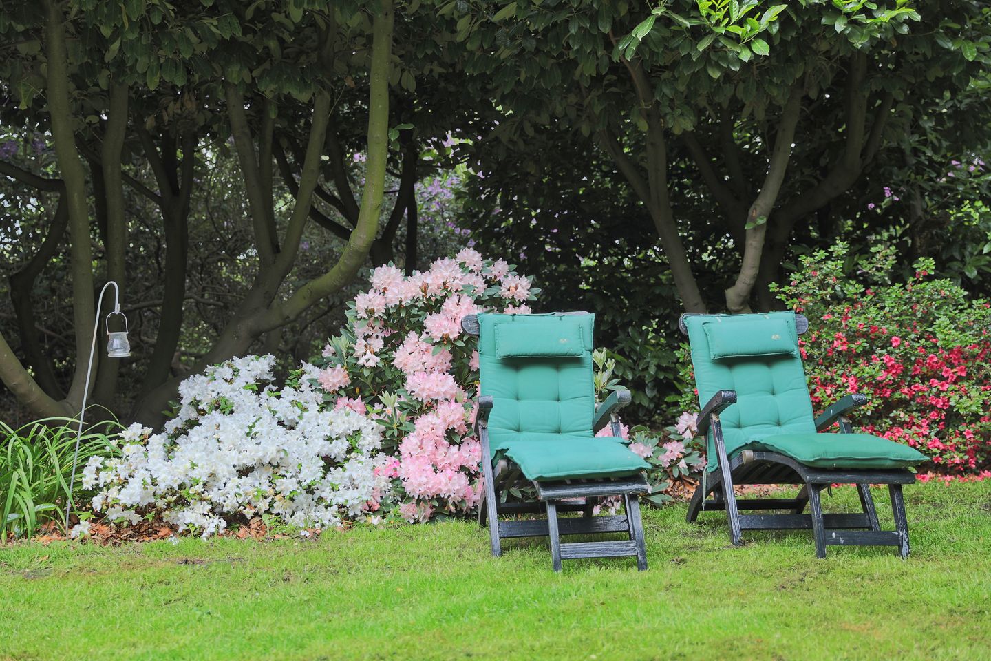 Photo 59 of Plantagebaan 221