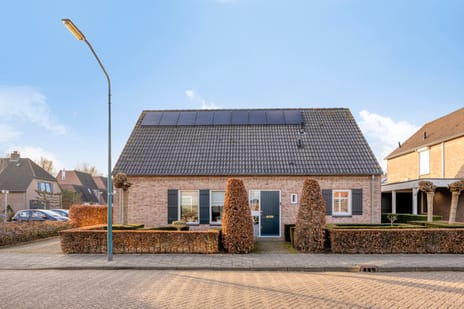 undefined main image