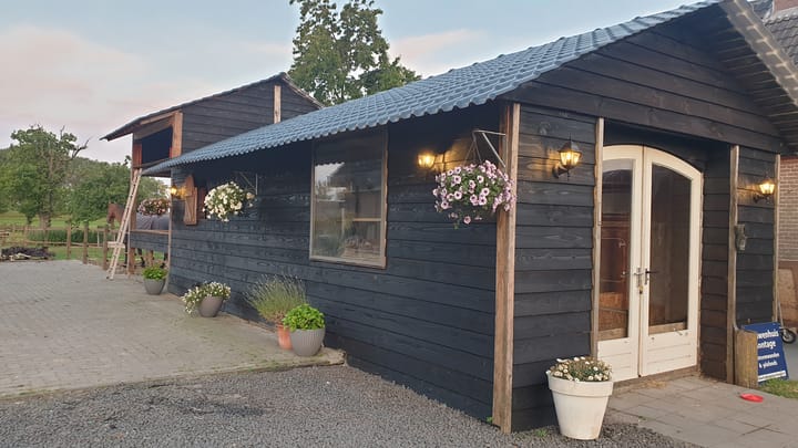 Photo 56 of Bosweg 12