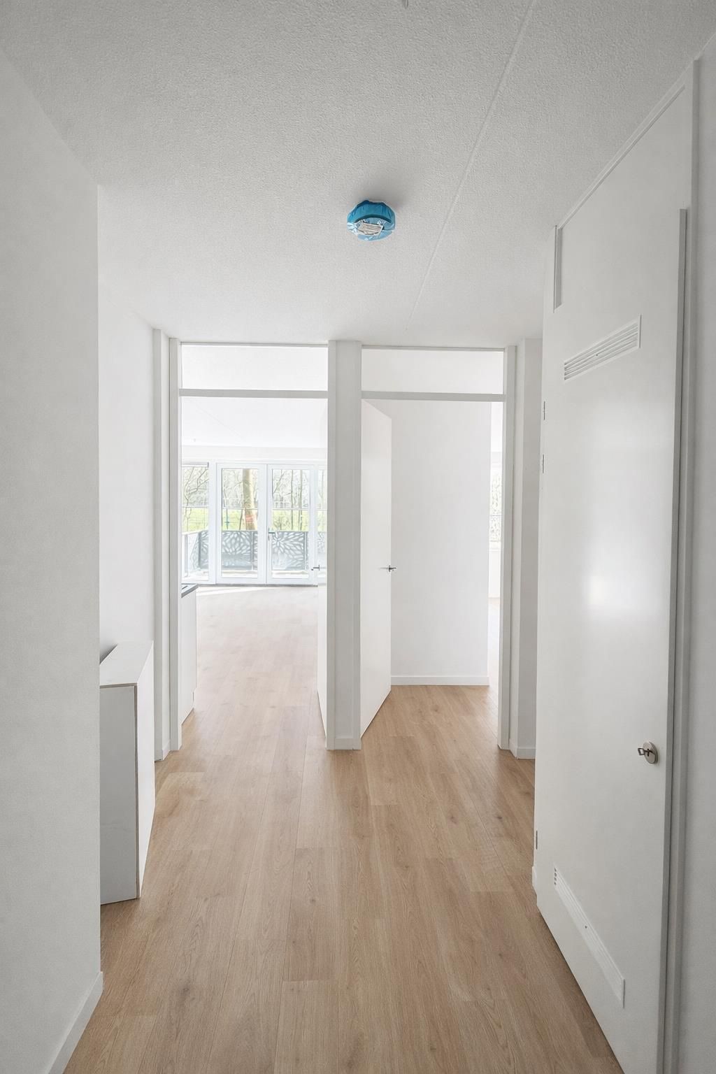 Foto 23 van Waterlelie 23