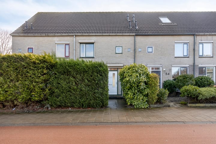 Hanebalk 53 main image