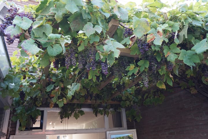 Photo 36 of Verlengde Hoogravenseweg 112