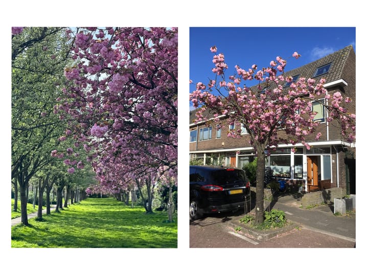 Photo 38 of Verlengde Hoogravenseweg 112