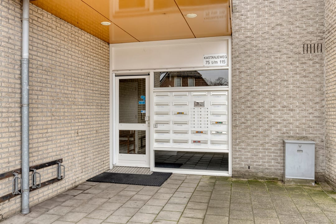 Foto 8 van Kastanjeweg 101