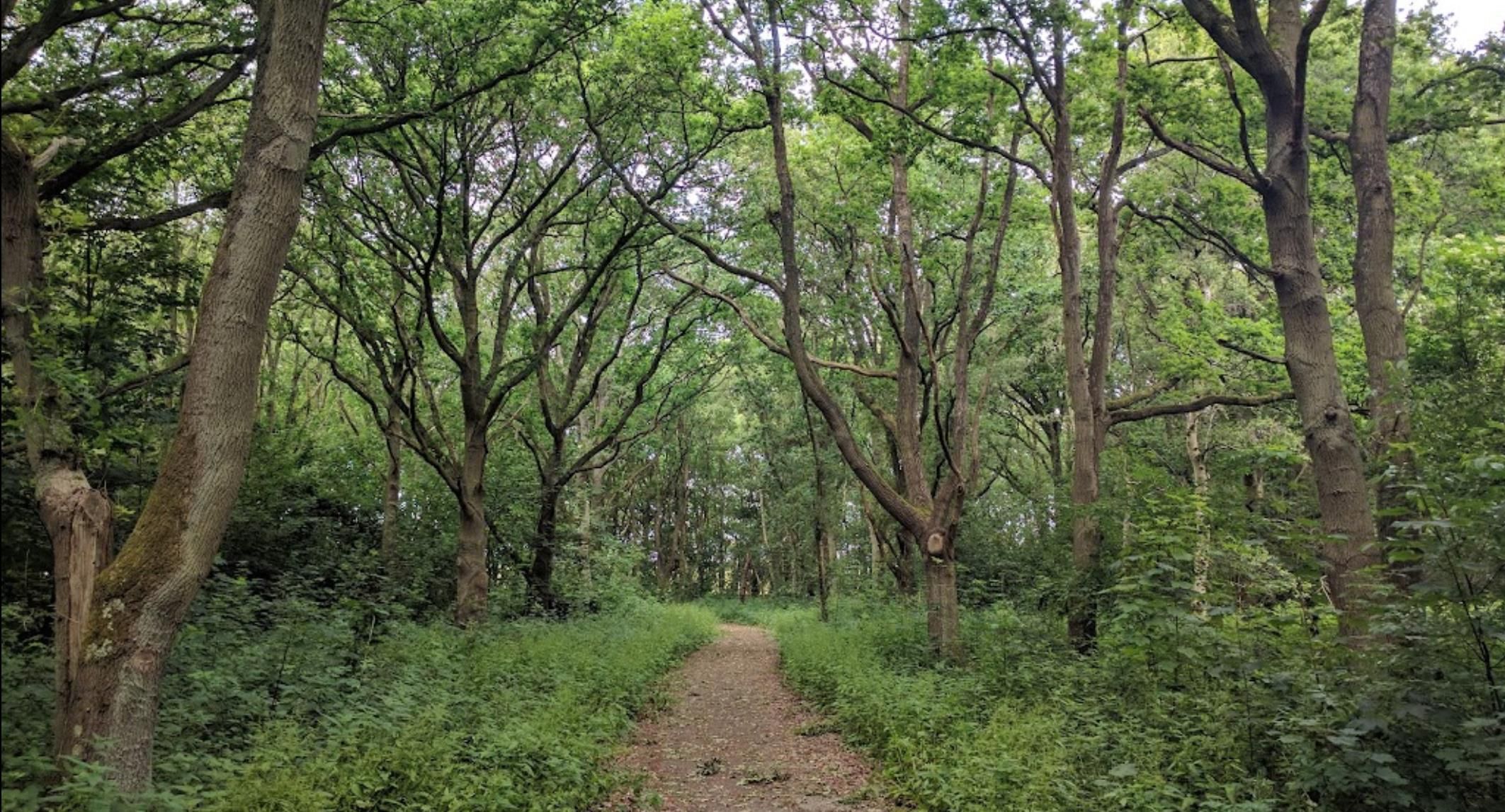 Foto 24 van Akkerweg 41-021