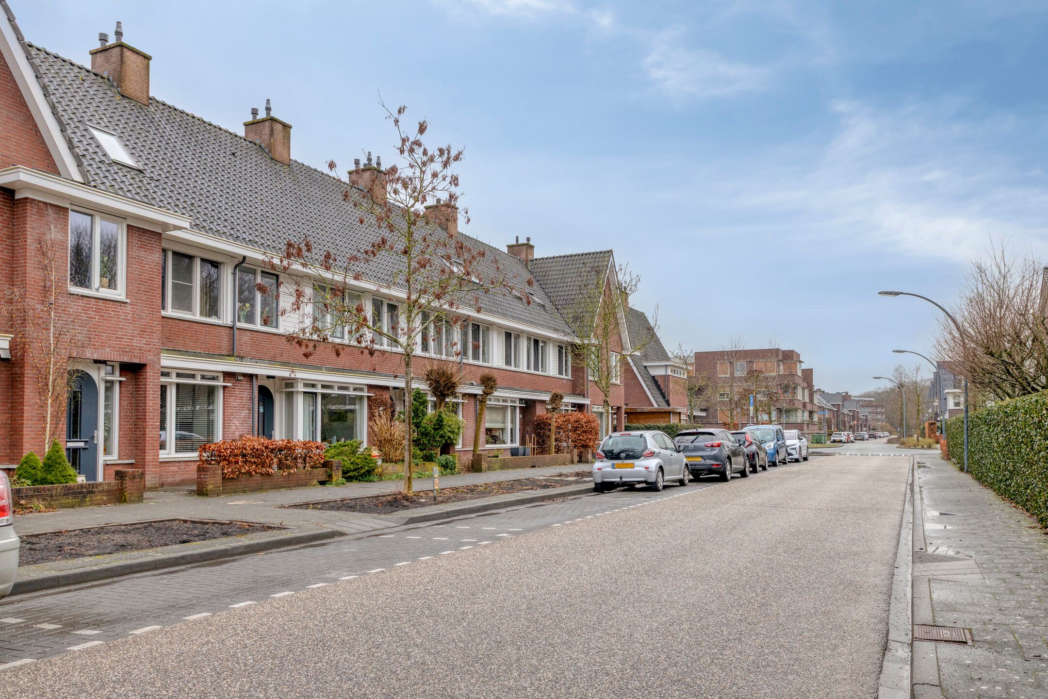 Foto 3 van Parelmoervlinder 83