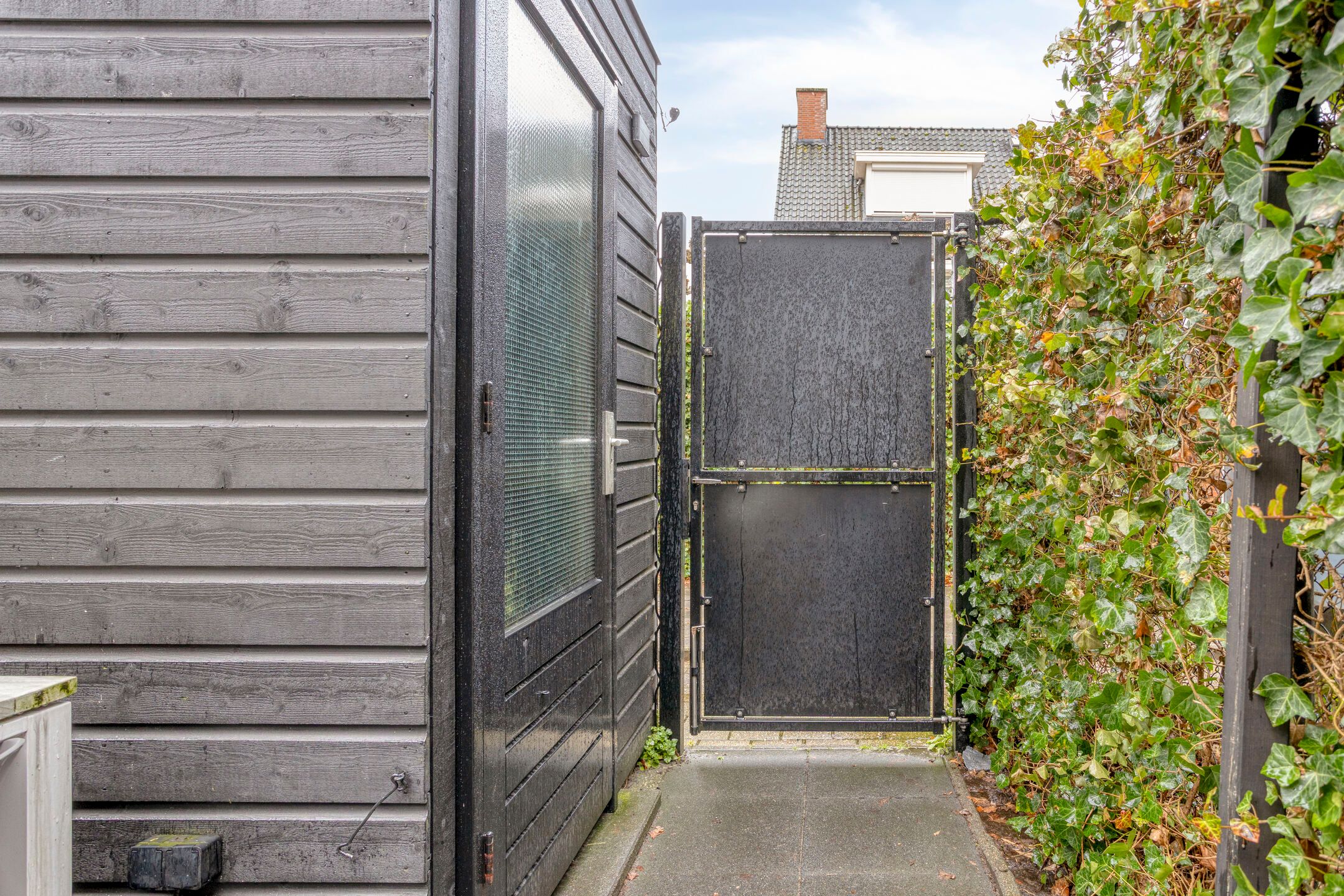 Foto 24 van Parelmoervlinder 83