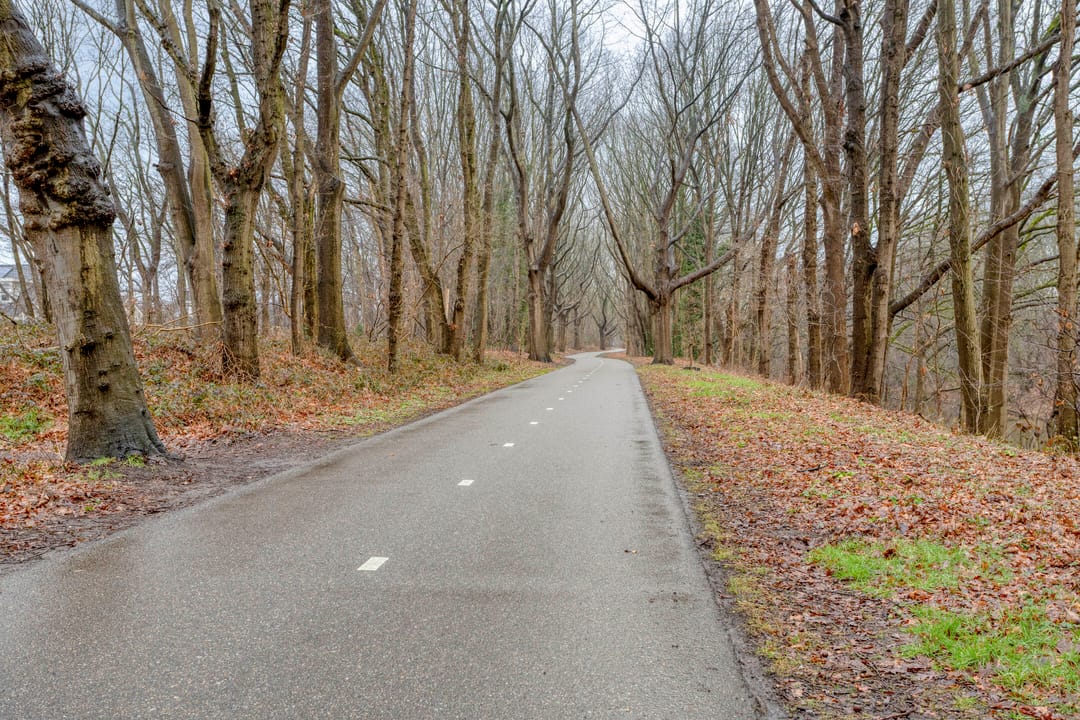 Foto 41 van Parelmoervlinder 83