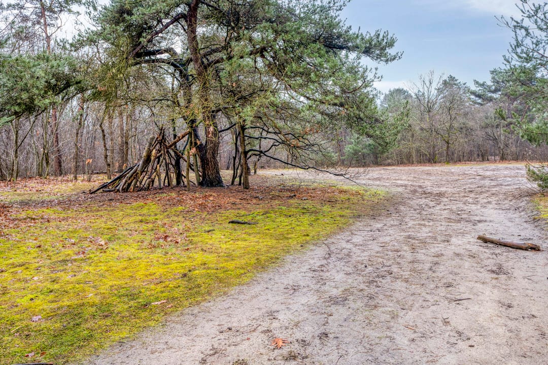 Foto 43 van Parelmoervlinder 83