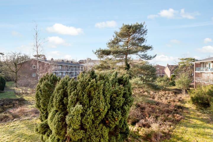 Foto 21 van Dorotheagaarde 44