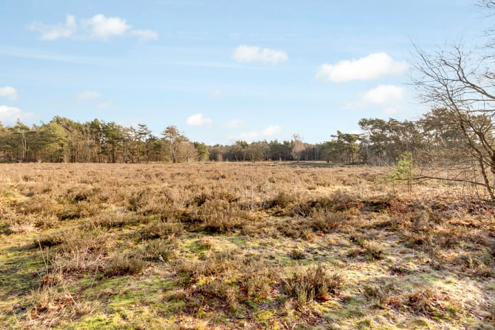 Foto 23 van Dorotheagaarde 44