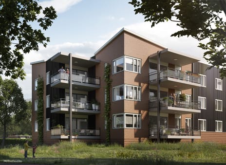 Zuiderweide fase 4a De Vierspan main image