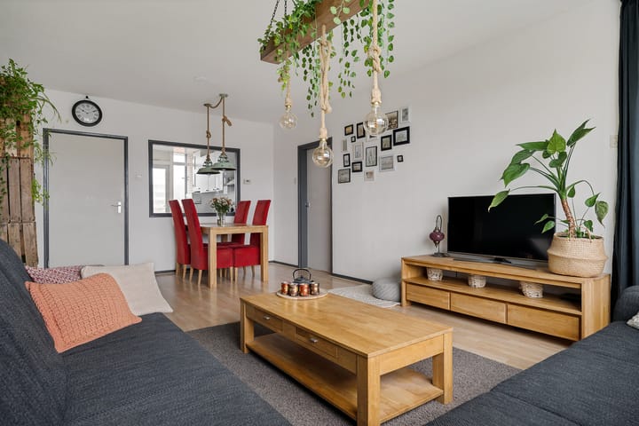 Foto 2 van Plutolaan 511