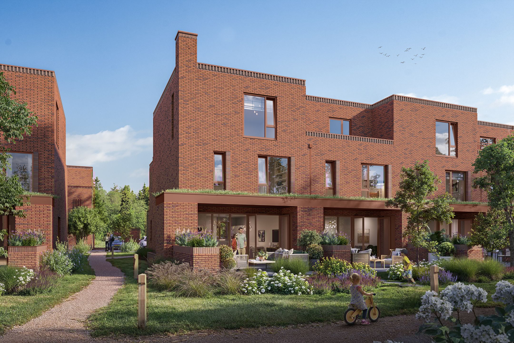 Photo 6 of Boekweitakker 35