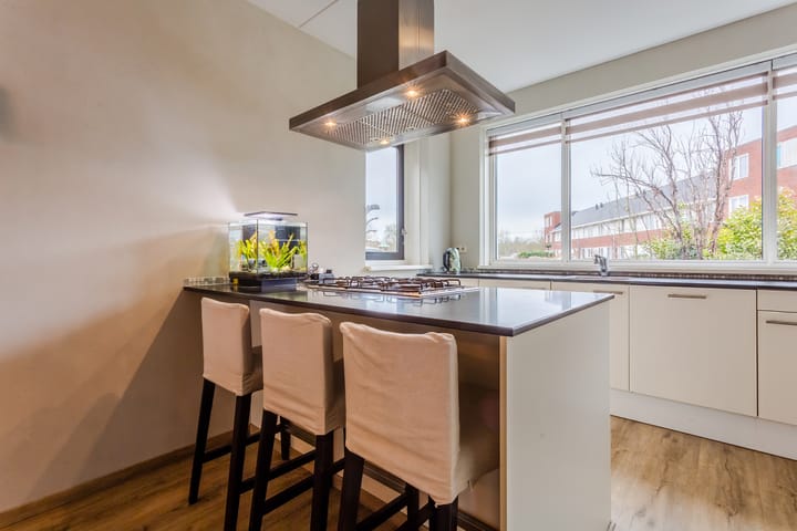 Foto 9 van Galjoen 01 28