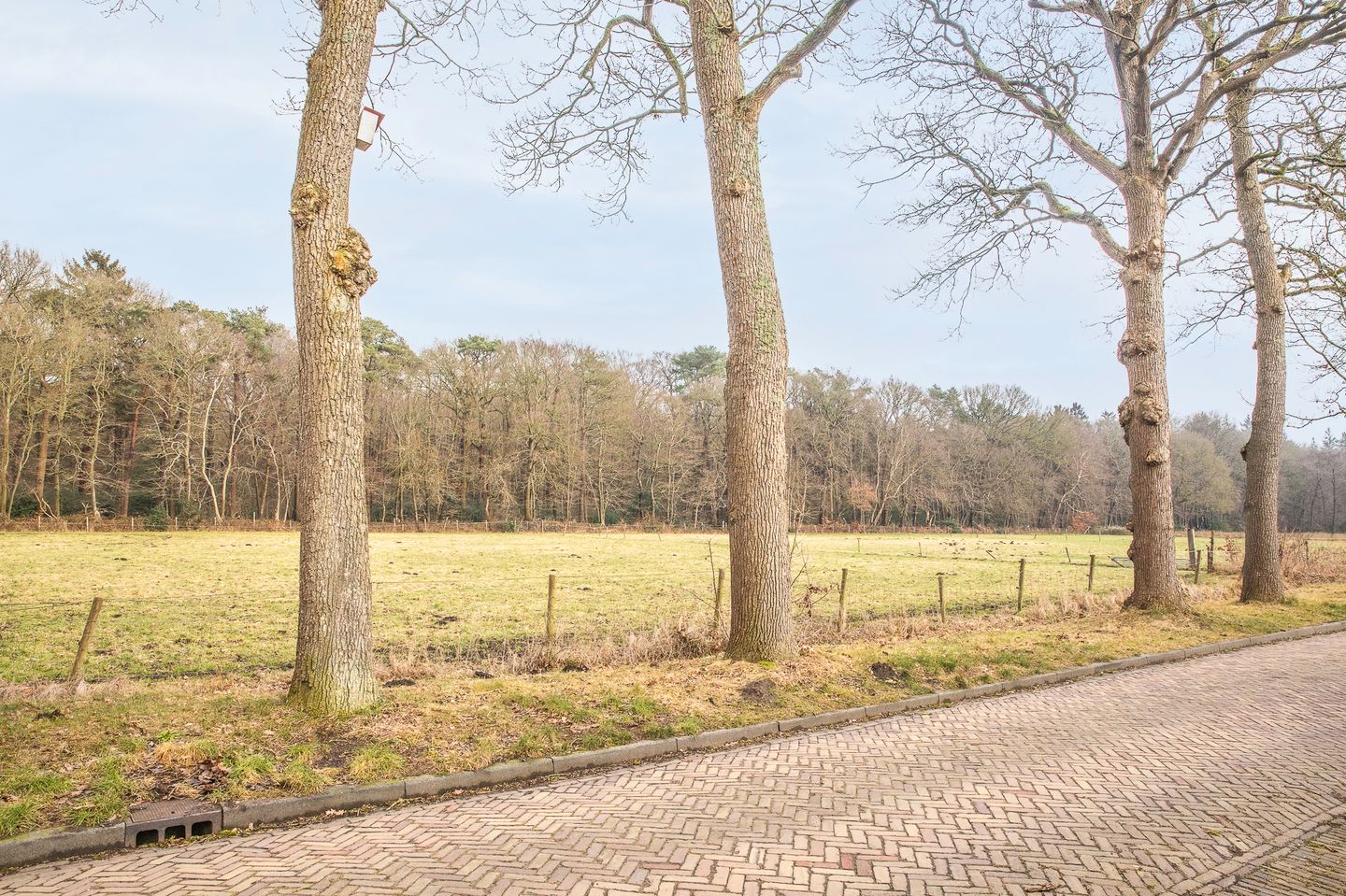 Foto 25 van Broeklaan 14-D