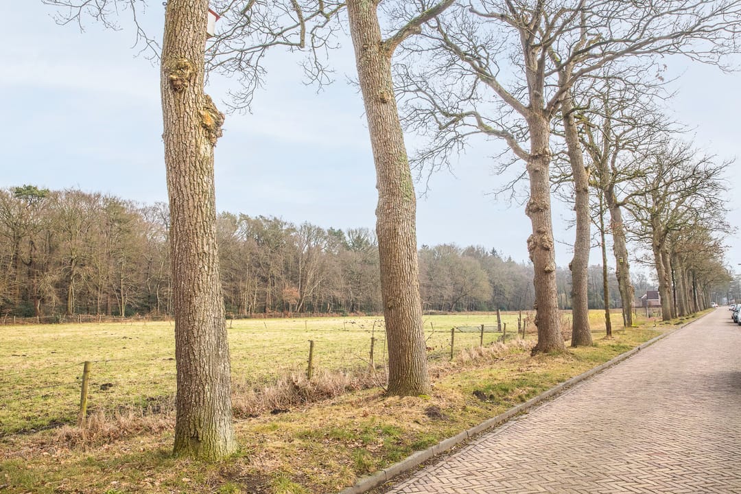 Foto 26 van Broeklaan 14-D