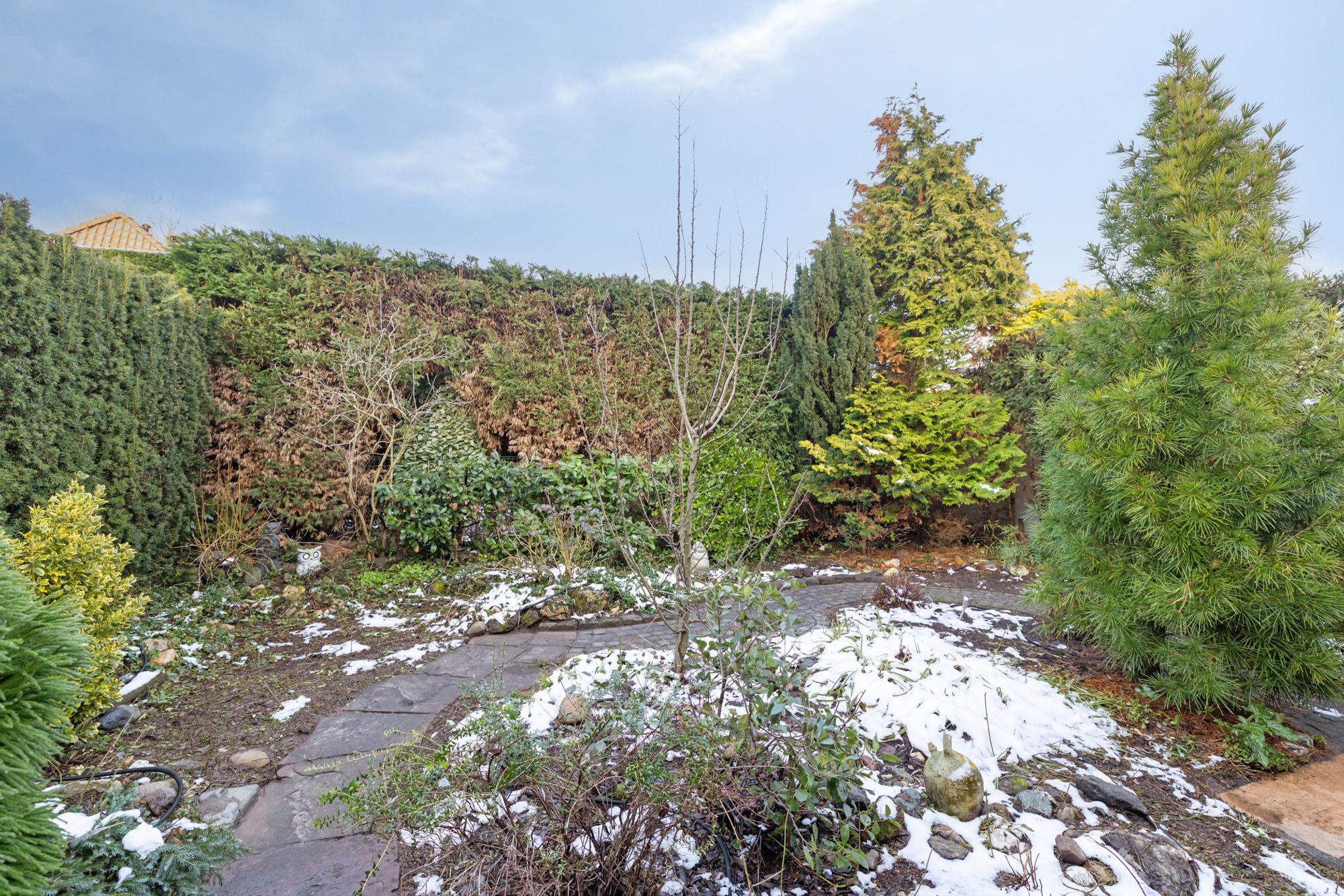 Foto 30 van Rodingsveen 170