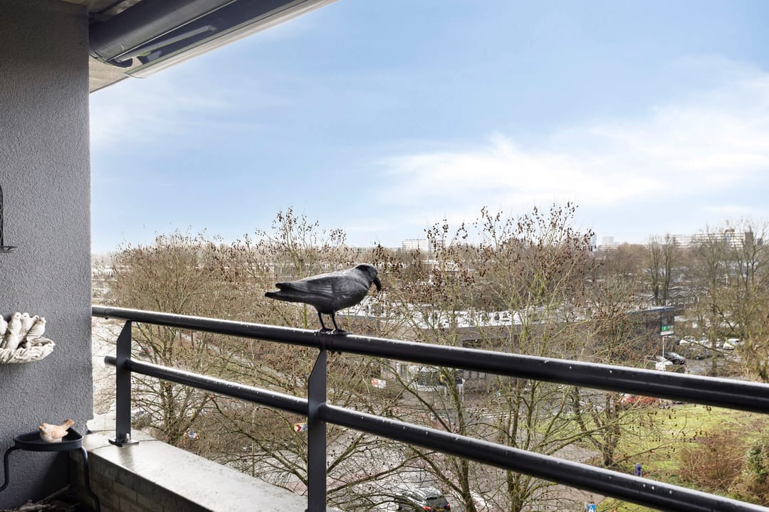 Photo 17 of Zijpe 150