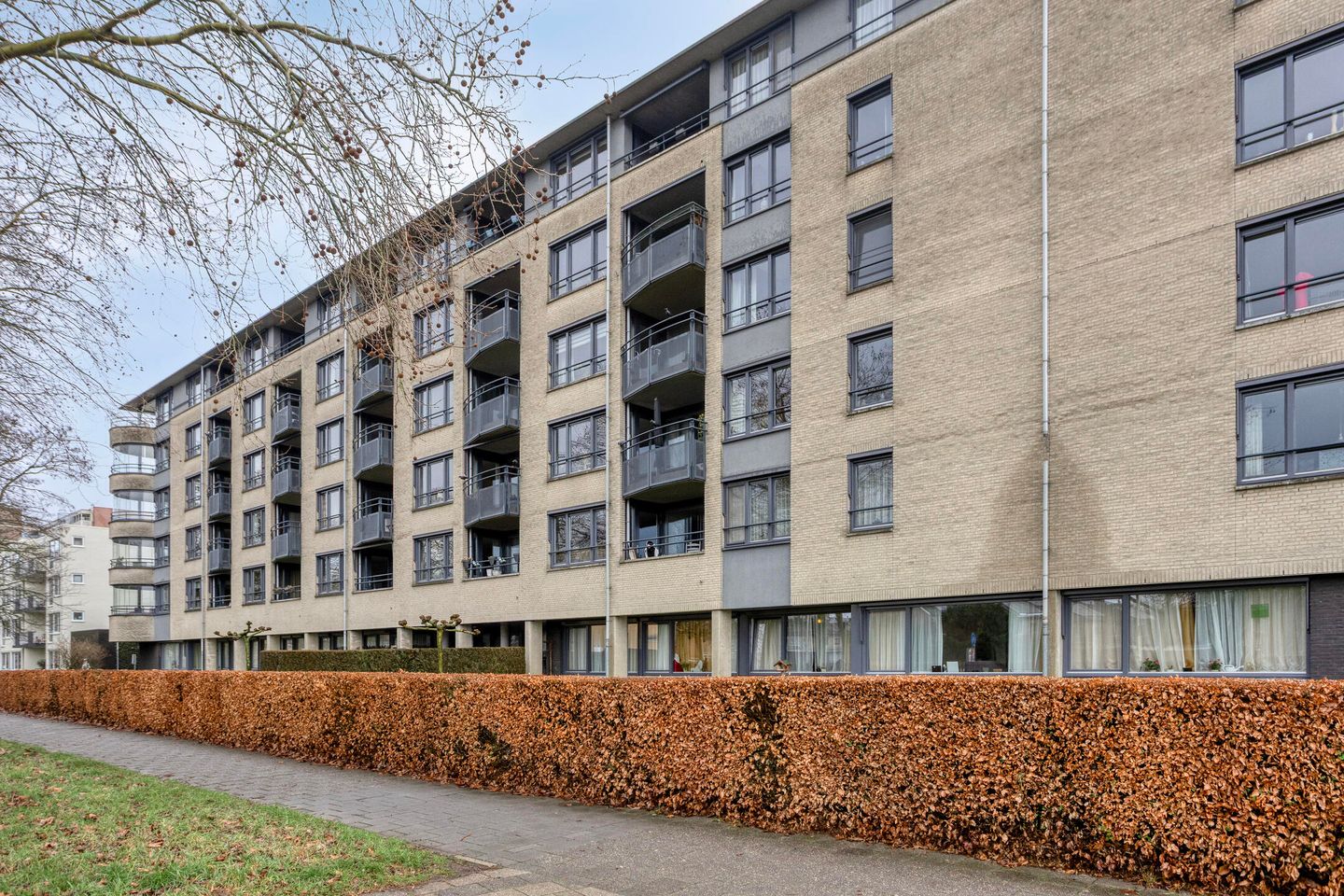 Photo 29 of Zijpe 150