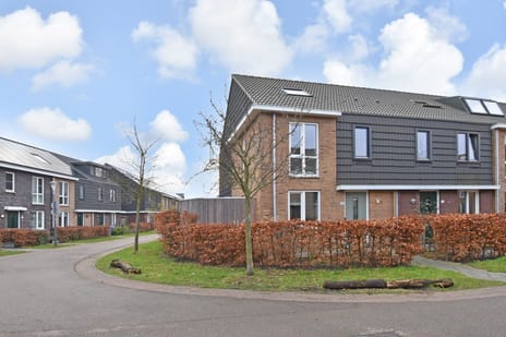 undefined main image