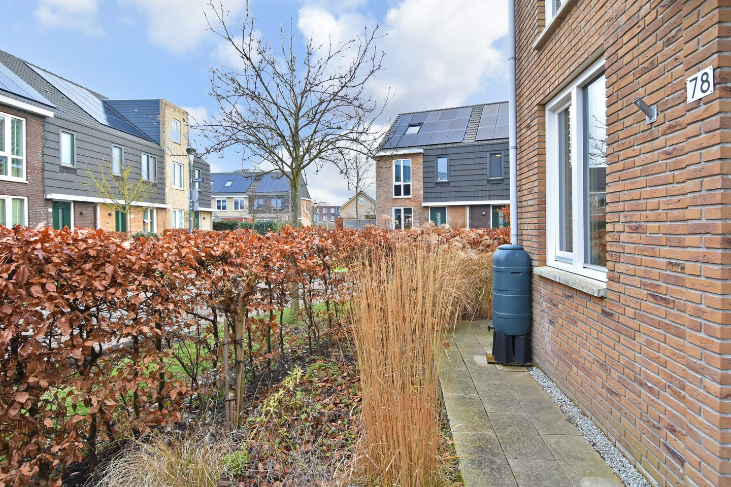 Foto 50 van Jasmijn 78