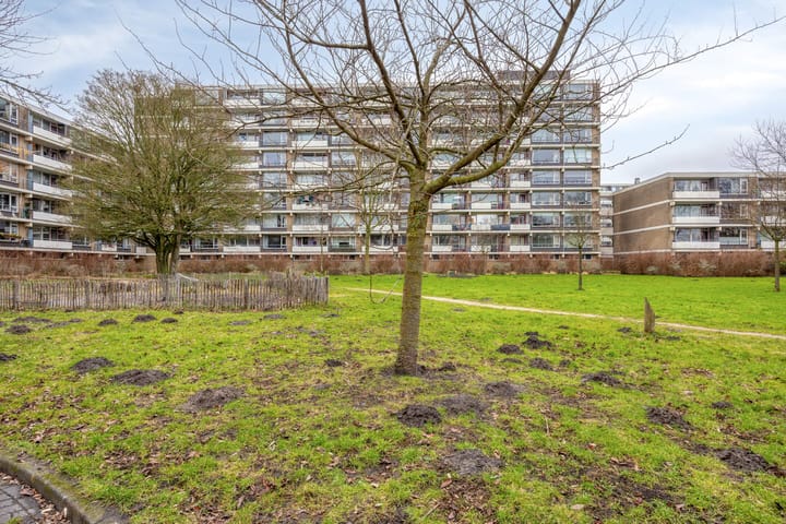 Photo 39 of Martin Luther Kinglaan 410