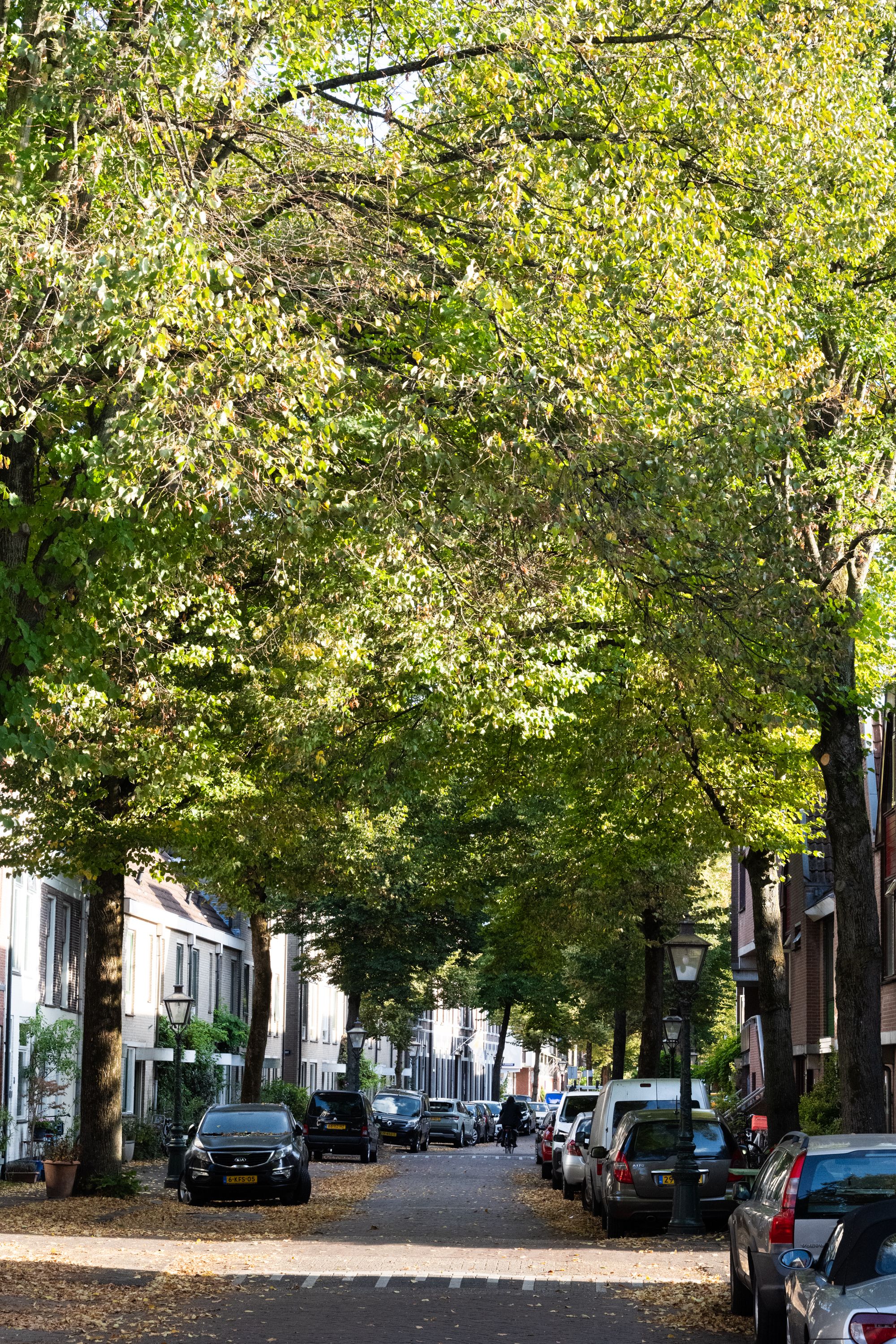 Foto 36 van Uiterstegracht 64