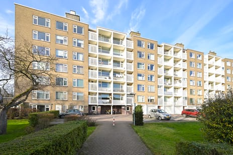 Segbroeklaan thumbnail