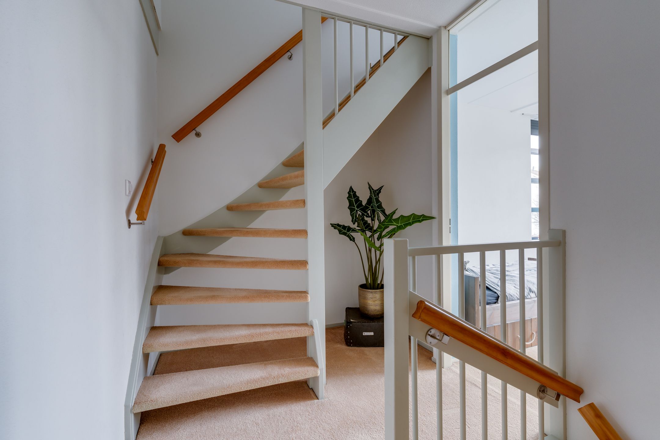 Foto 33 van Het Groene Schaap 2