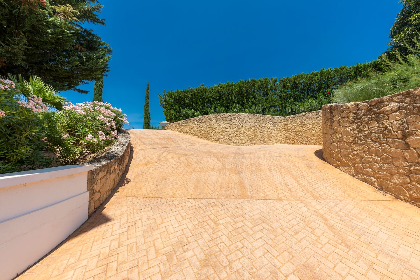 Foto 5 van Calle Olivo 10