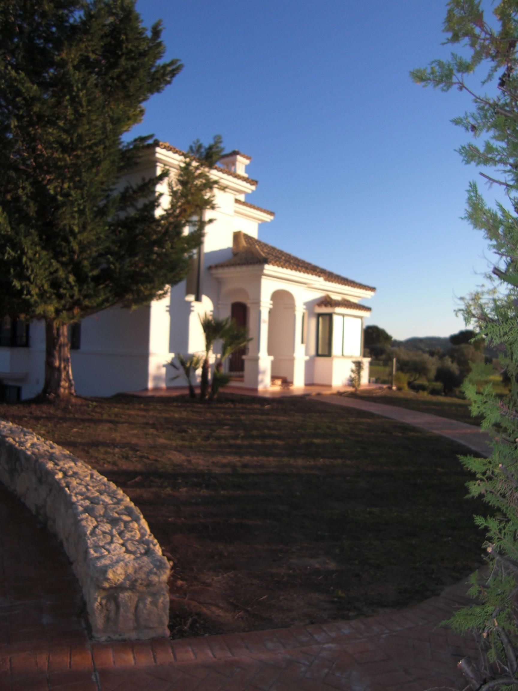 Foto 12 van Calle Olivo 10