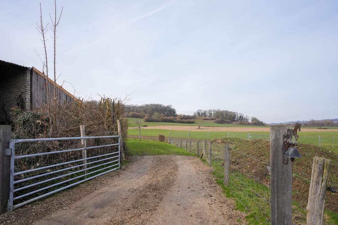 Foto 43 van Overgeul 8-A