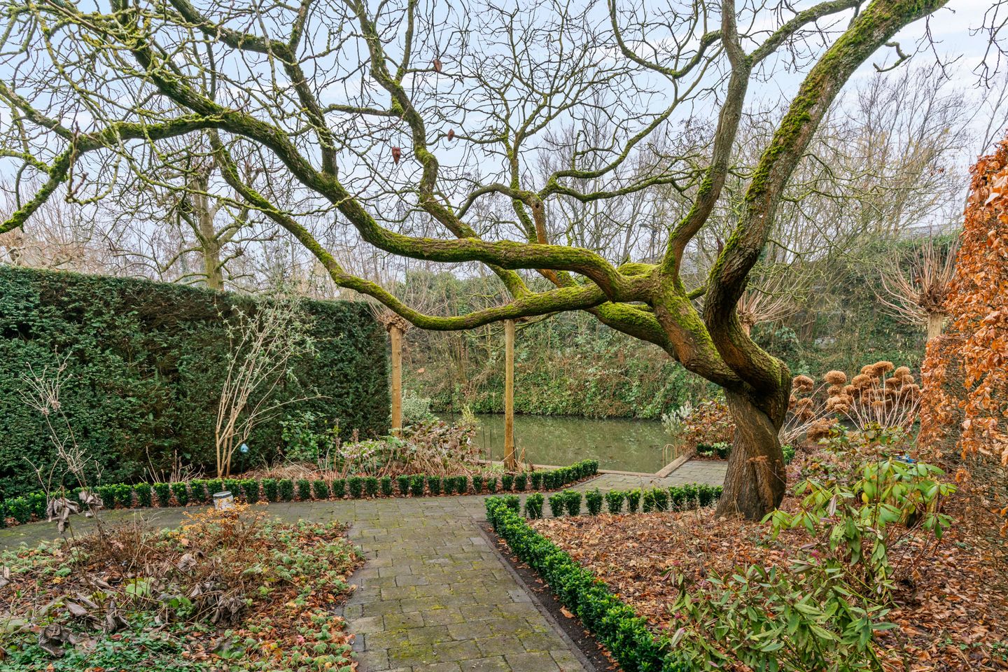 Foto 19 van Weegbree 26