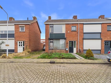 undefined main image