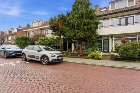 Cipreslaan thumbnail