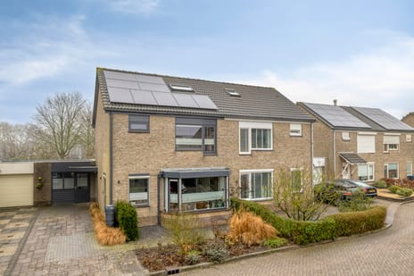 Pluutstraat thumbnail