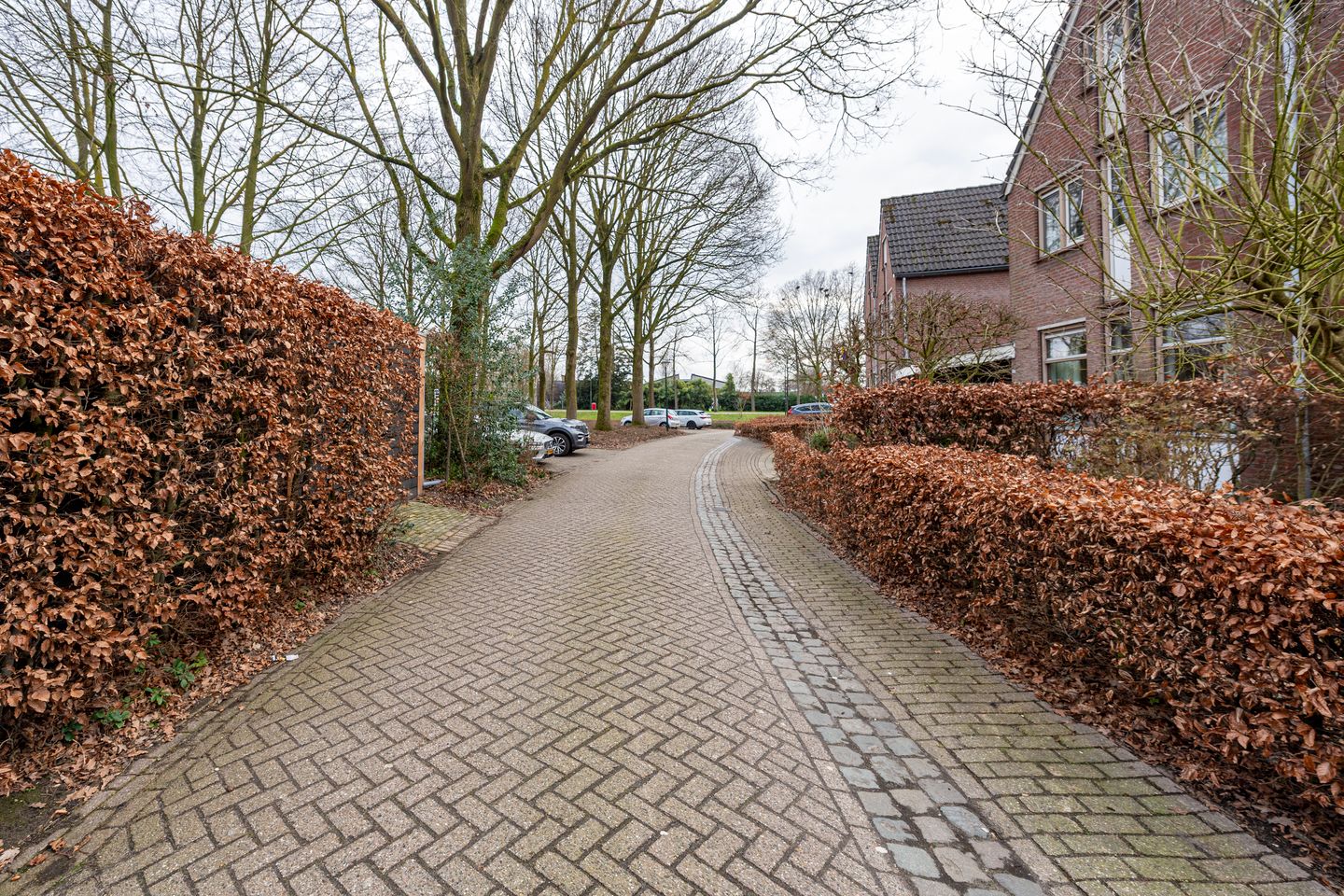 Foto 50 van Standaard 13