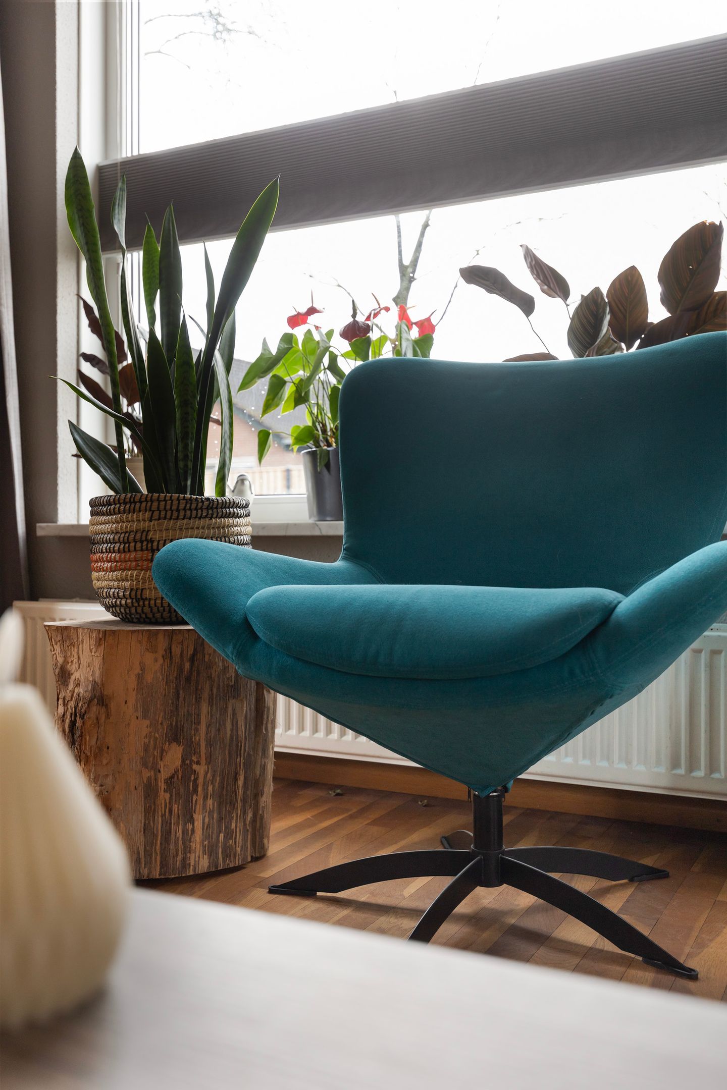 Foto 20 van Loenerdrift 134