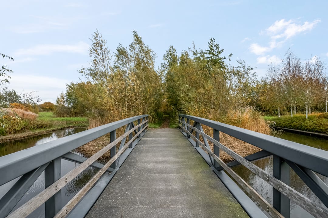 Photo 58 of Groene Grens 4