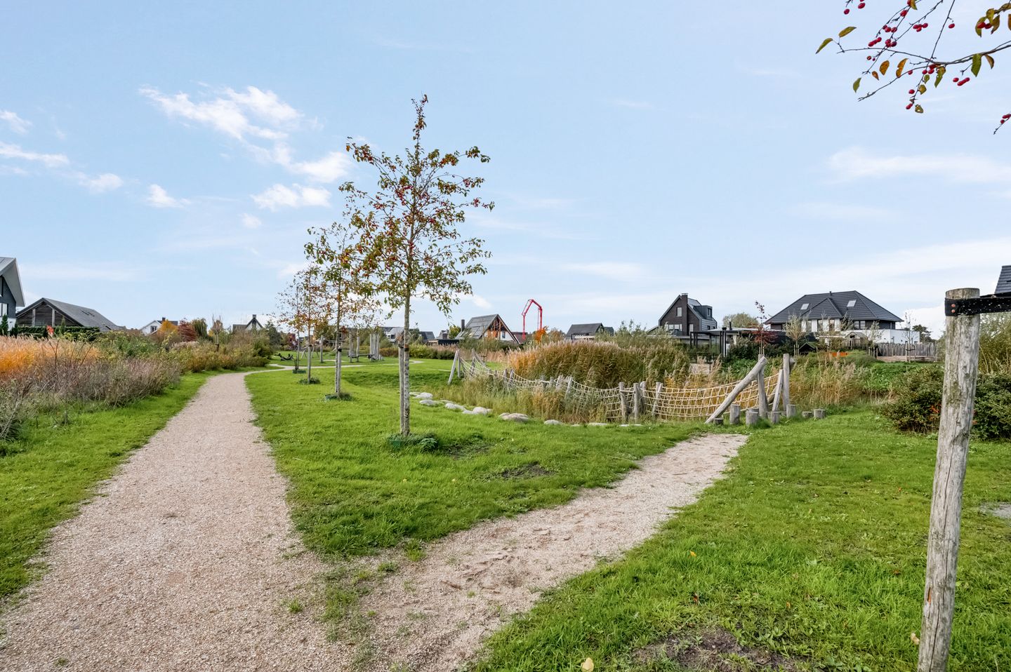 Photo 59 of Groene Grens 4