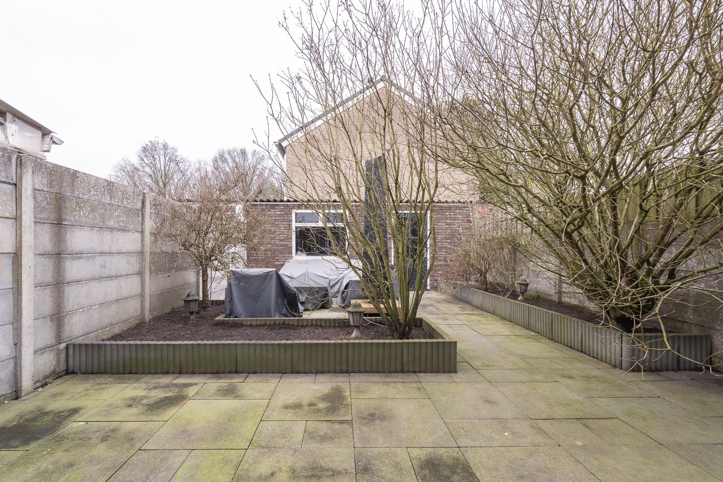 Photo 35 of Bellinistraat 35