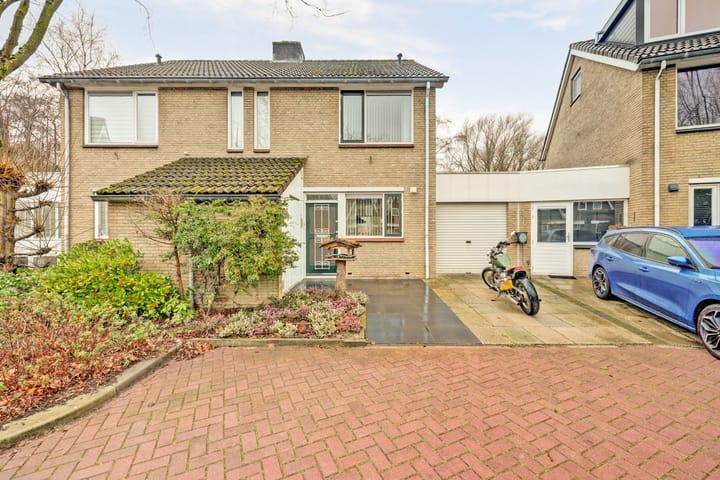 Erasmustuin 9 main image