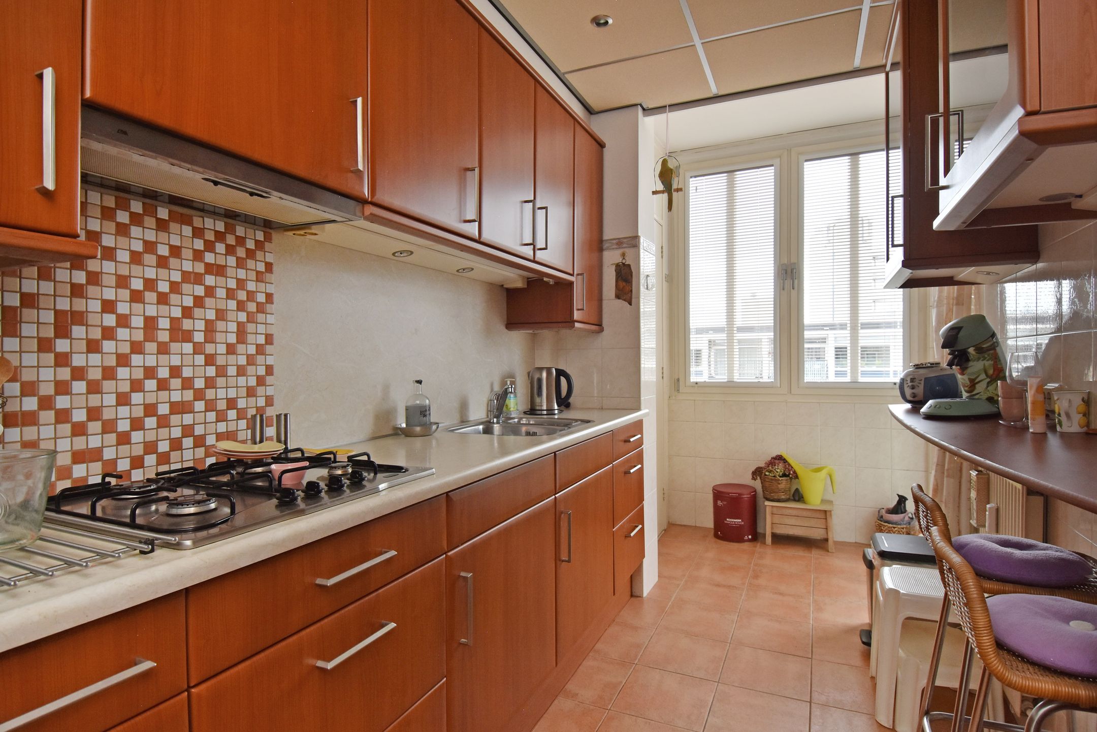 Foto 3 van Groen van Prinstererlaan 188