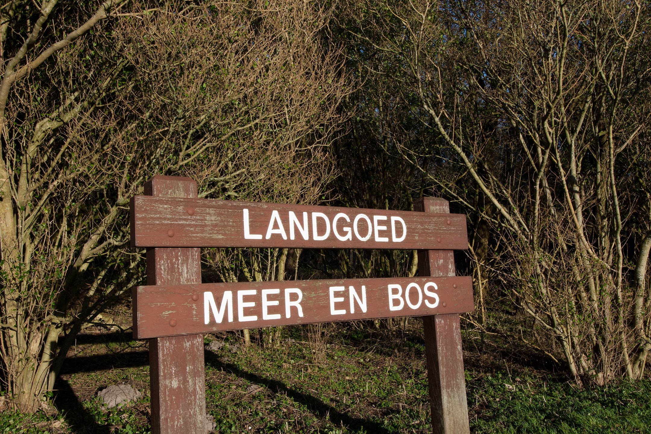 Foto 42 van Groen van Prinstererlaan 188