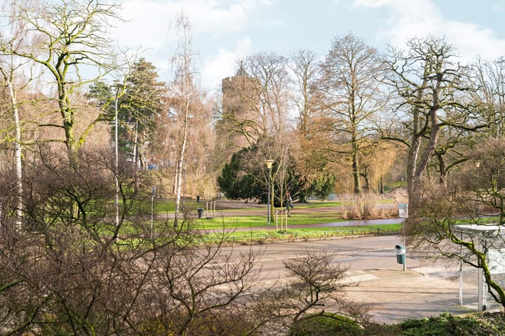 Foto 14 van Kronenburgersingel 291