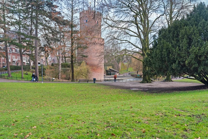 Foto 37 van Kronenburgersingel 291